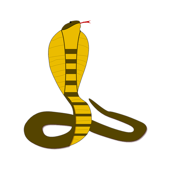 Free line nature snakes illustration