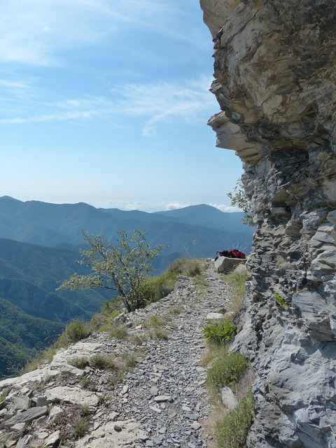 Free Trail Hike photo and picture