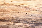 wood, structure, fund