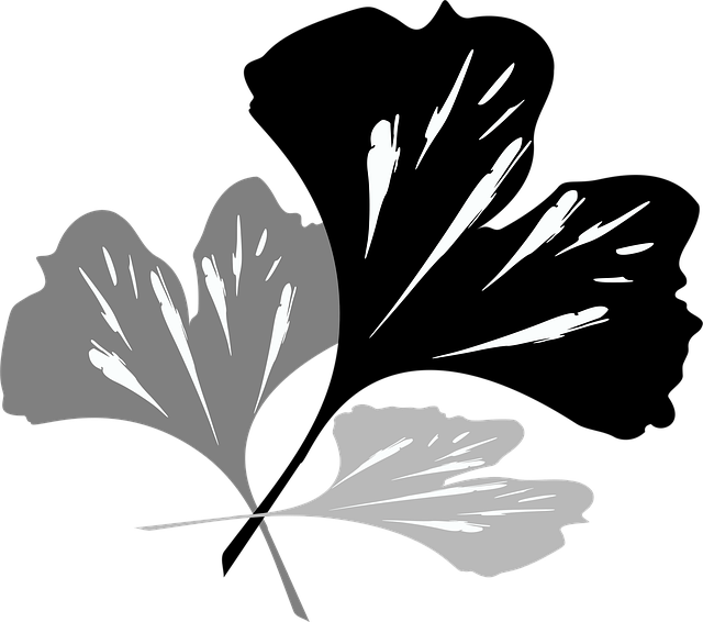 Free ginko flower background flower wallpaper illustration