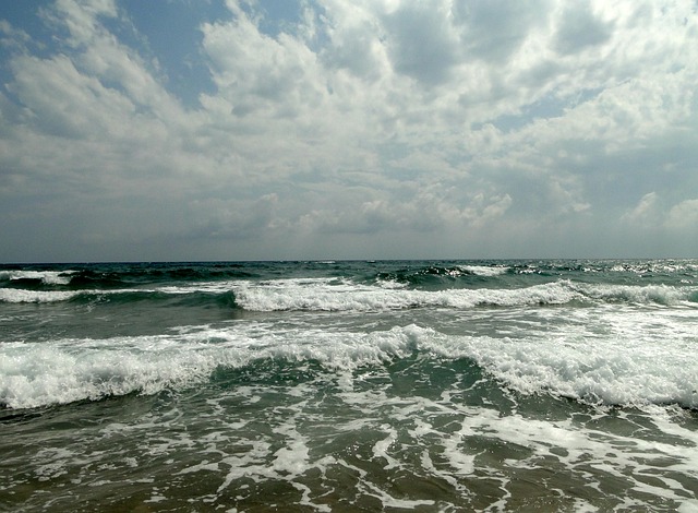 Free Sea Beach photo and picture