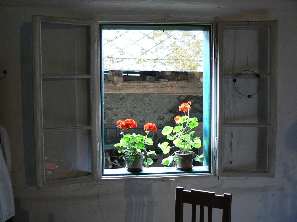 Free photo Window, Flower, Red Free Image on Pixabay 186783