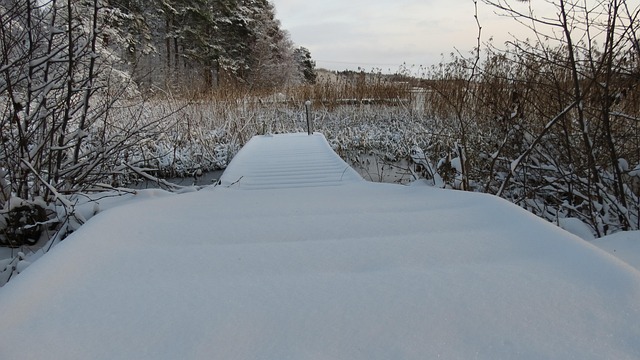 Free Snow Wintry photo and picture