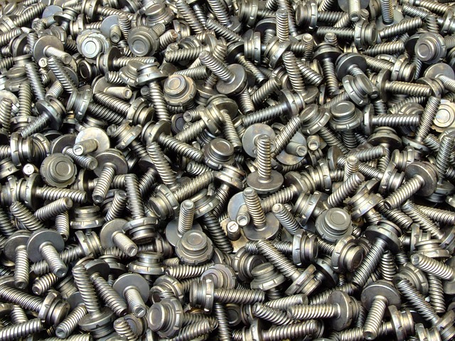 Free Śróby Nuts photo and picture