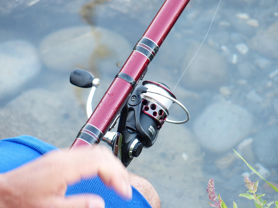 The Ultimate Guide to Zander Fishing: Best Seasons & Techniques