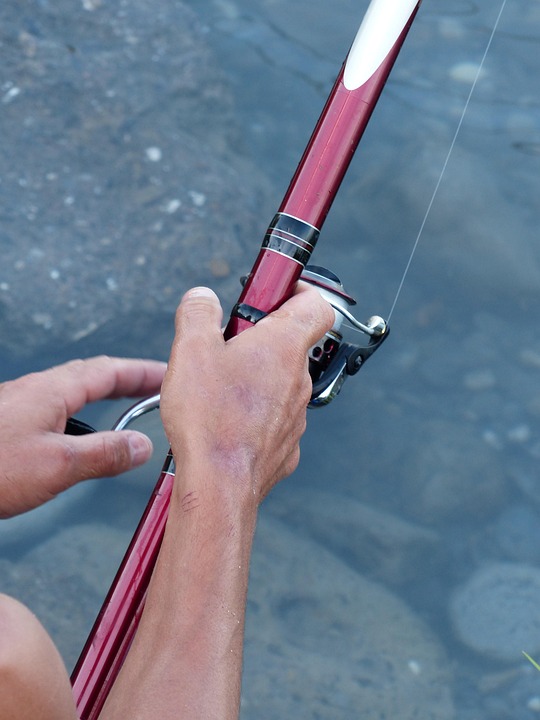 The Ultimate Fishing Rig Handbook: Techniques for Every Angler