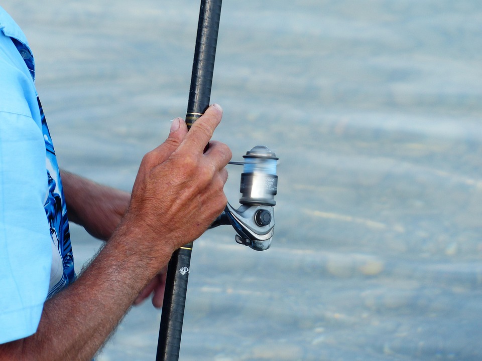 Top 5 Bass Fishing Rigs Every Angler Should Master
