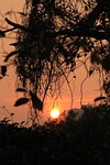 sunset, sunrise, sunlight