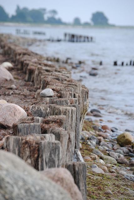 Kellenhusen, Playa, Naturaleza