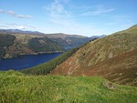 lake, non-native trees, returning landscape