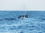 jet ski, personal watercraft, jet boat
