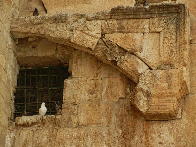 Free Temple Wall Southern Steps photo and picture