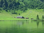 alm hut, farm, agriculture