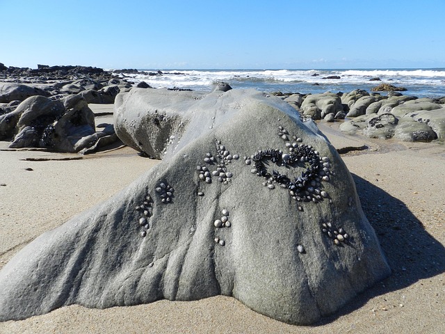 Free Stone Sea photo and picture