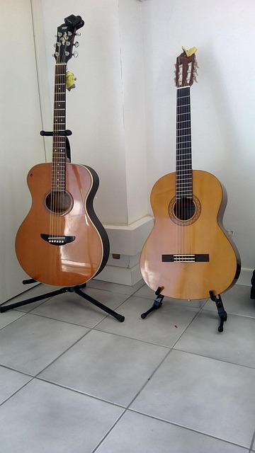Free Guitar Guitars photo and picture
