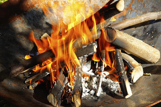 Free Fire Wood photo and picture