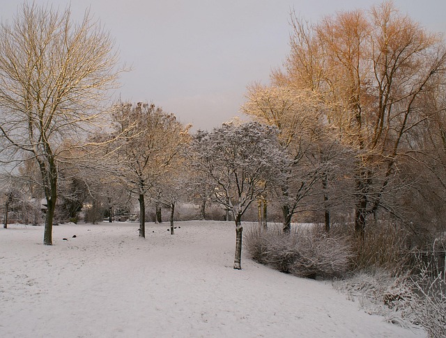 Free Snow Winter photo and picture