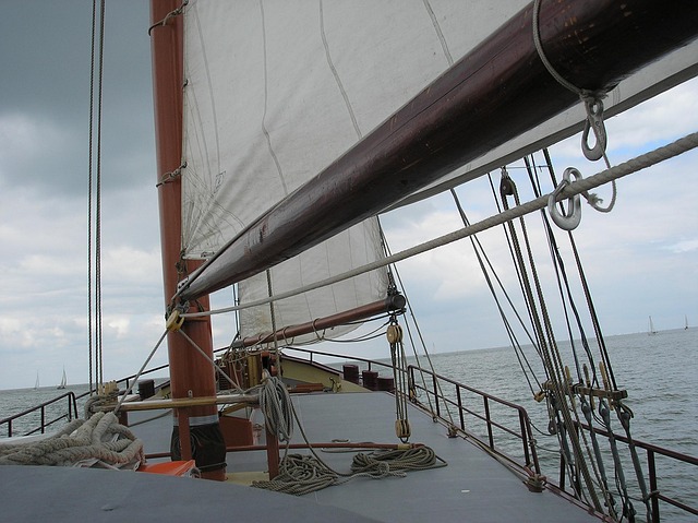 Free Sail Nature photo and picture