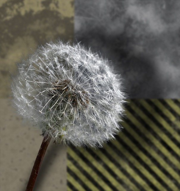 Free Photoshop Image Editing illustration and picture