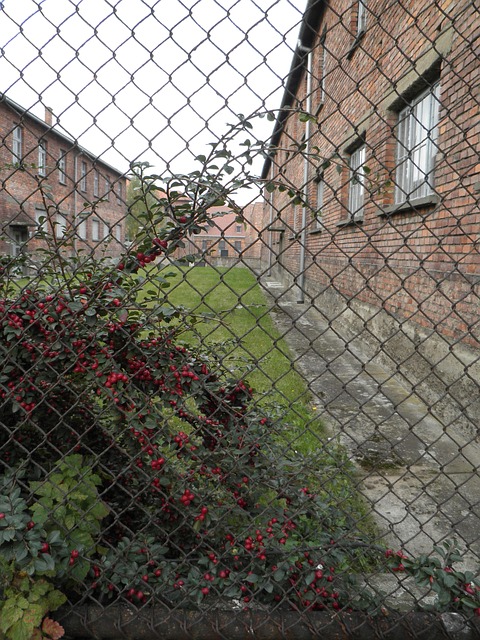 Free Auschwitz Concentration Camp photo and picture