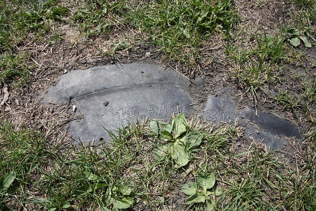 Free Tire Plastic photo and picture