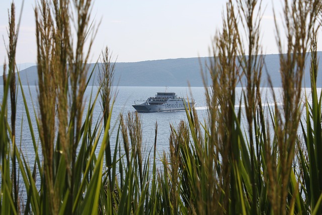 Free Ferry Jadrolinia photo and picture