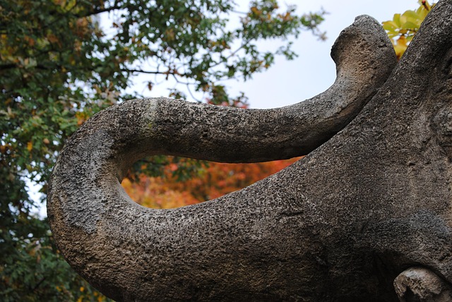 Tronco, Figura De Piedra, Elefante