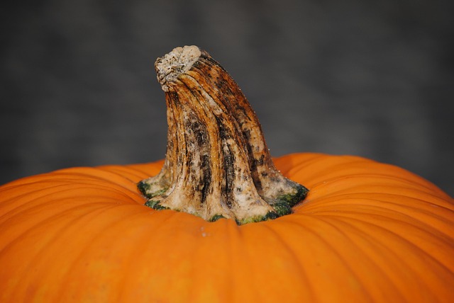 Calabaza, Otoño, Naranja