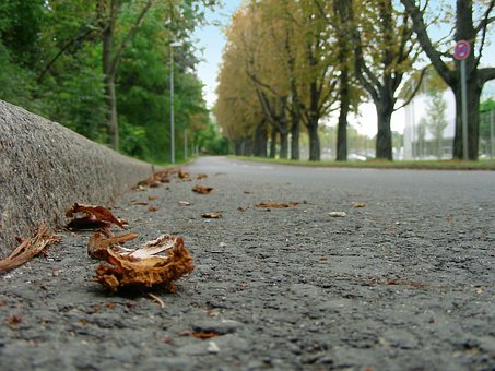 Free Road Beautiful Wallpaper photo and picture