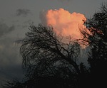 clouds, dense, round