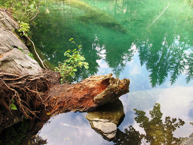 Free Lake Nature photo and picture