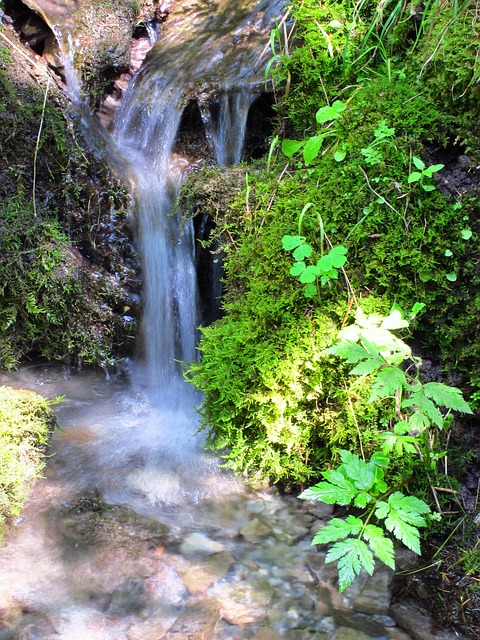 Free Nature Water photo and picture