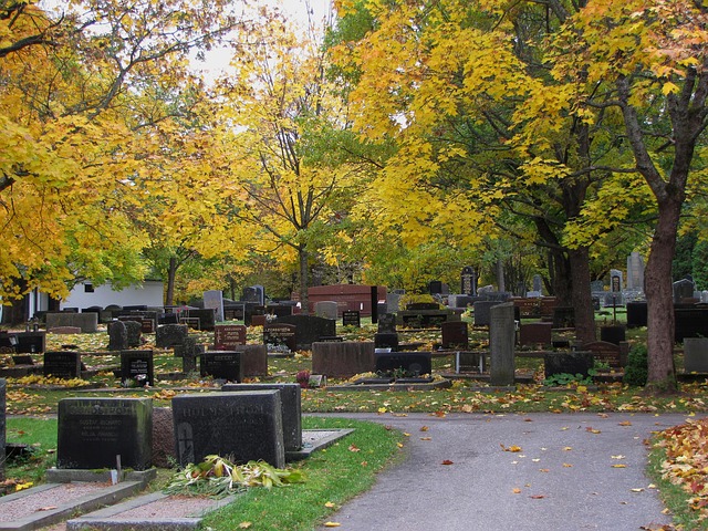 Free Cemetery Autumn photo and picture