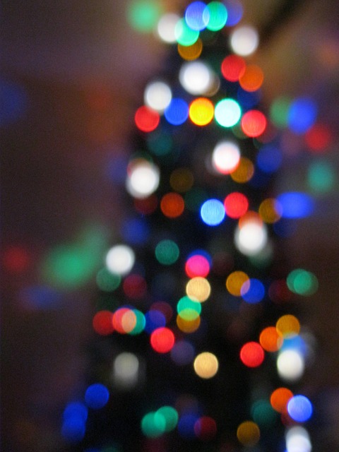 Free Christmas Tree photo and picture