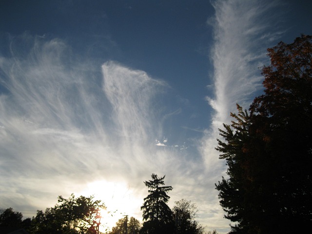 Free Blue Sky photo and picture