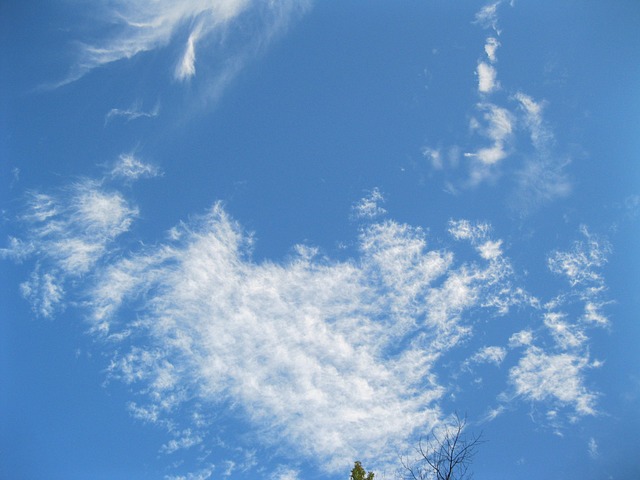 Free Blue Skies photo and picture