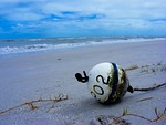 gulf coast, ocean, sea