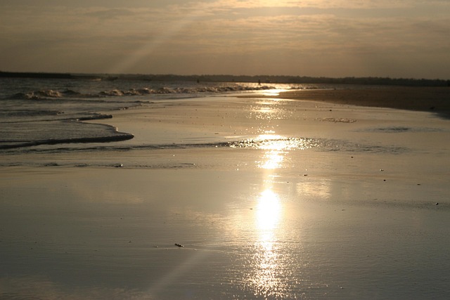 Free Beach Ocean photo and picture