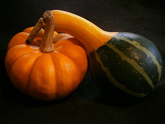 Free Pumpkin Gourd photo and picture