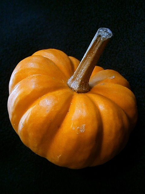 Free Pumpkin Gourd photo and picture