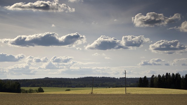 Free Field Sky photo and picture