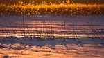 finland, winter, snow