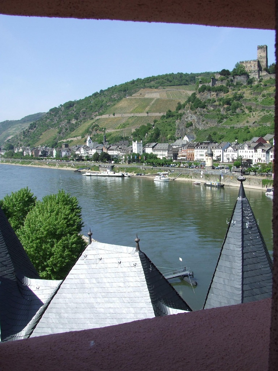 Foto Rhin Rhin Palatinat Allemagne - Photo gratuite sur Pixabay - Pixabay