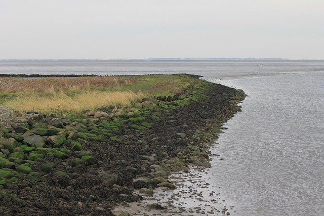 Free Coast Shore photo and picture