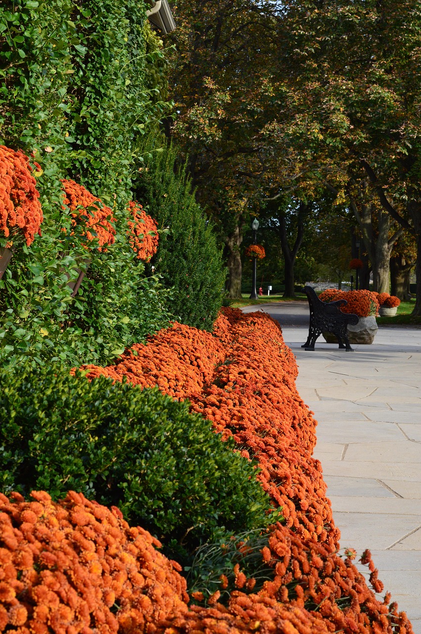 Otoño Paisaje Jardín - Foto gratis en Pixabay