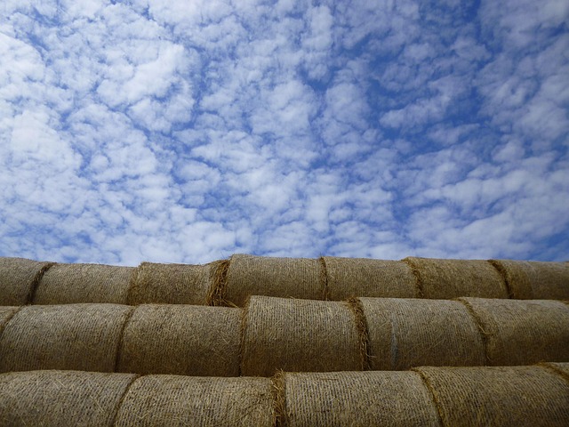 Free Cloud Straw Bale photo and picture