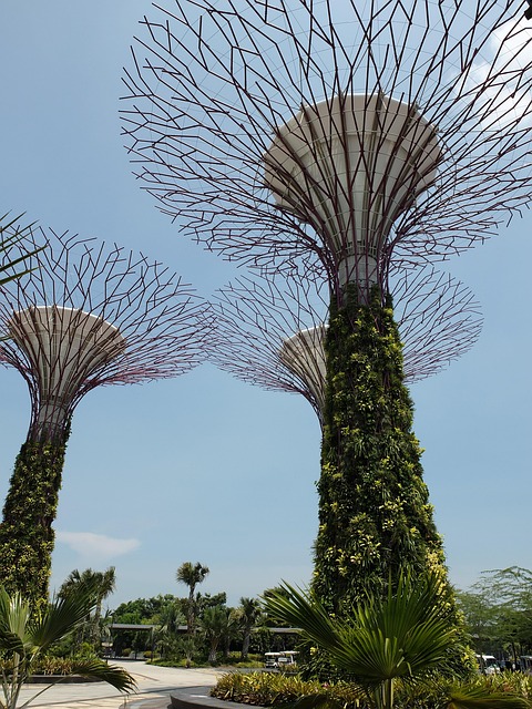 Free Garden Tree photo and picture