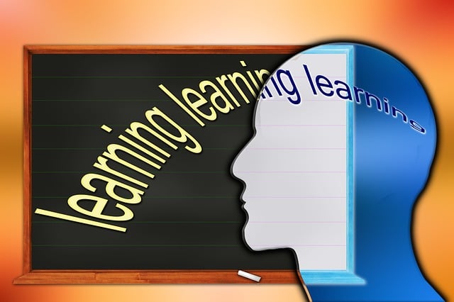Free training opportunities to learn illustration