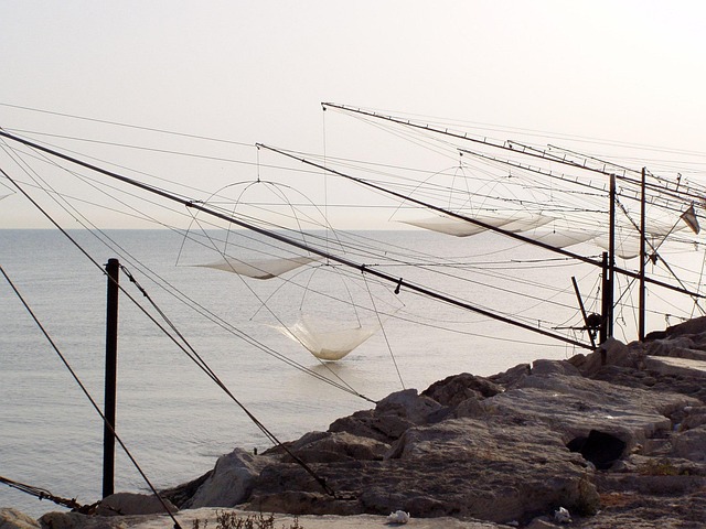 Free Fishing Rocker Arm photo and picture