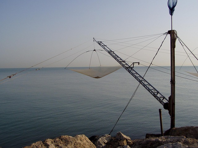 Free Fishing Libra photo and picture